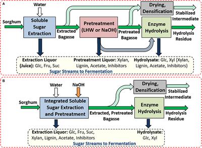 Integration of Pretreatment With Simultaneous Counter-Current Extraction of Energy Sorghum for High-Titer Mixed Sugar Production